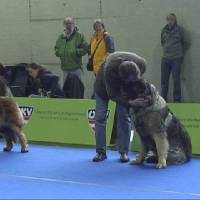 Salzburg Clubschau Mai 06 089